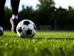 鲁尼伊布评,分亮眼,博格巴中场,双赢彩票,彩票平台,在线投注,彩票开奖,中奖机会