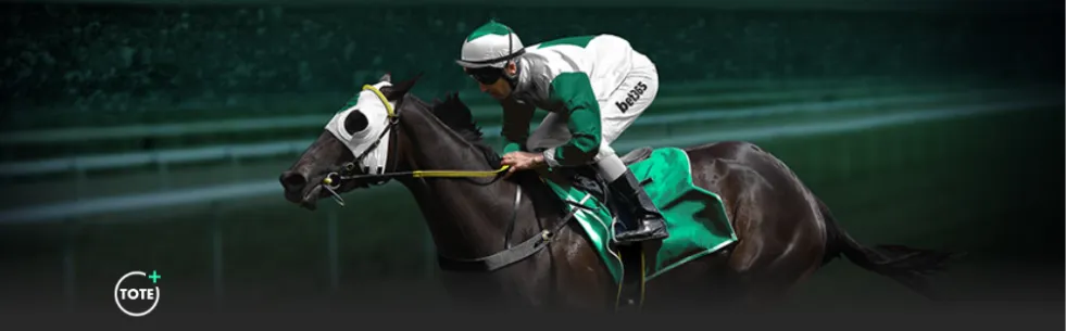 常规赛,独行侠败北,国王队,双赢彩票,彩票平台,在线投注,彩票开奖,中奖机会