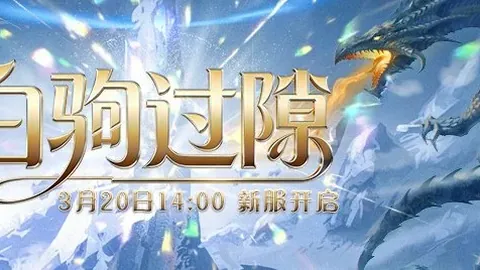 亚冬会速读：新华社深度解析亚冬会关键信息