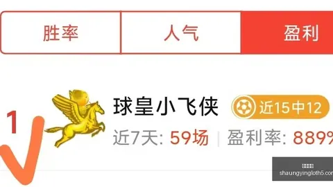双赢彩票，彩票开奖， 051143 54