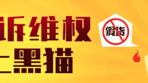 寻找未来蓝军传奇：恩佐式球员的加速替代者
